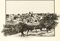 Bethany