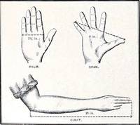 The Cubit and the Span